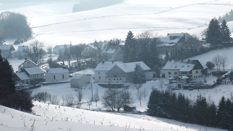 auw-bei-pruem-schlausenbach-winter